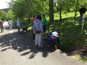 IMG_4964.JPG